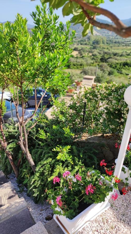 Casa L'Ulivariu Affittacamere サン・テオドーロ エクステリア 写真