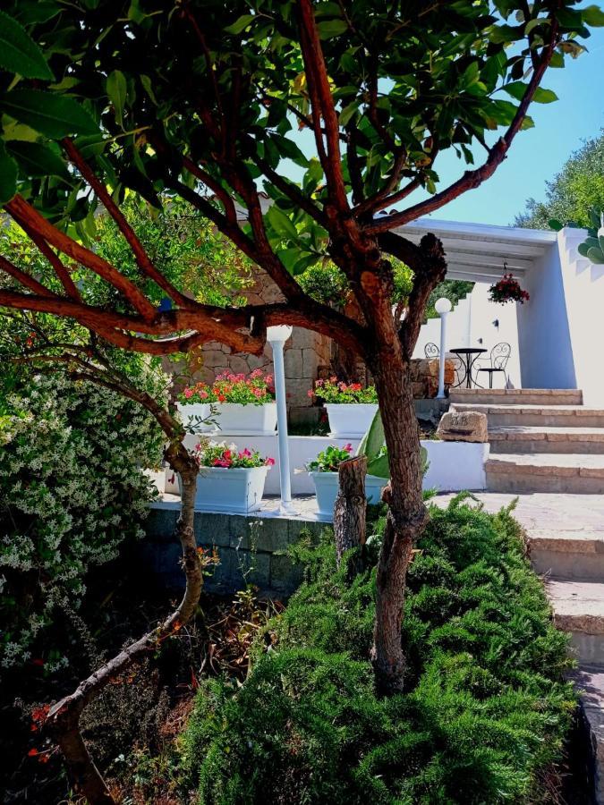 Casa L'Ulivariu Affittacamere サン・テオドーロ エクステリア 写真
